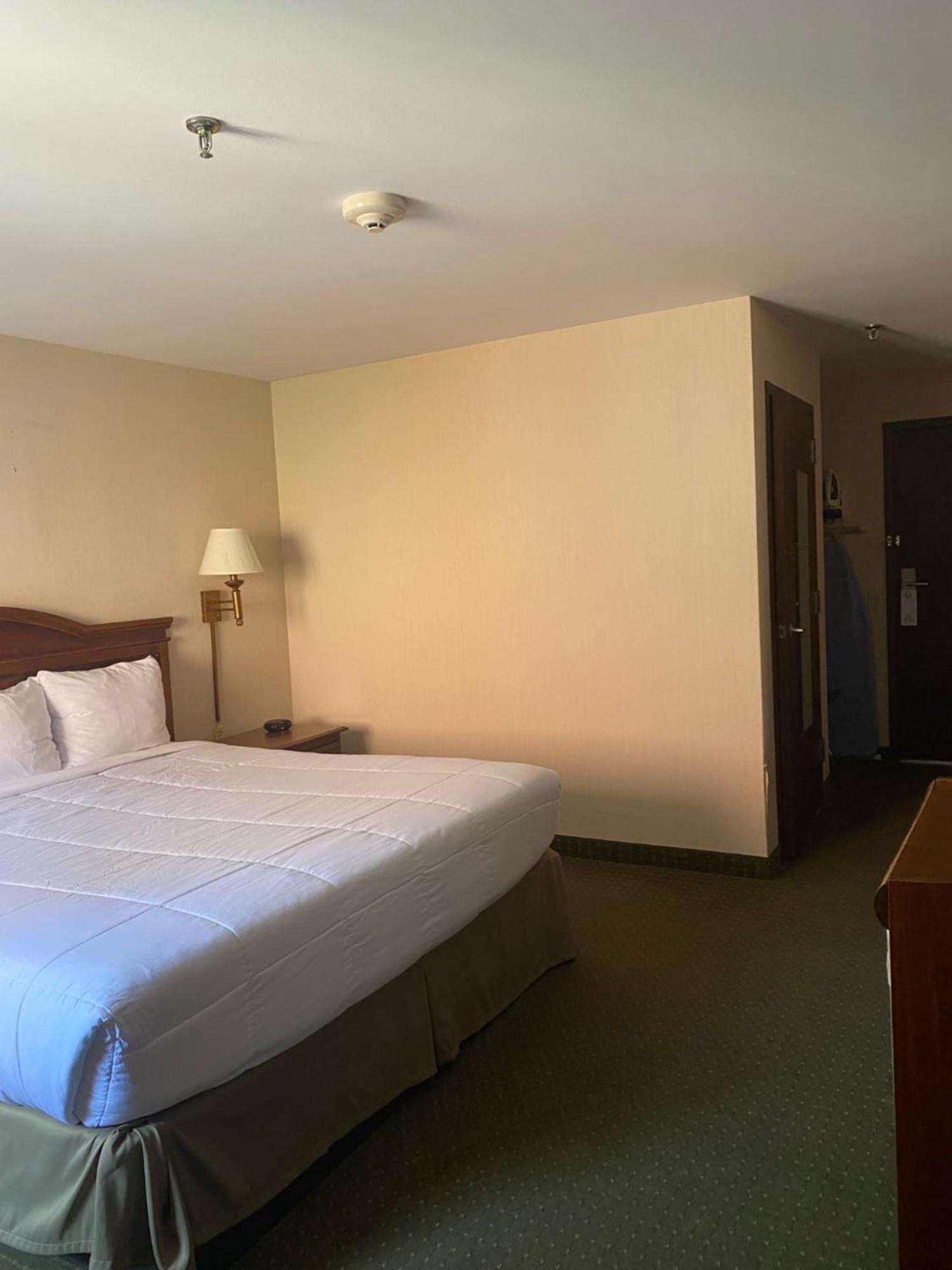 Pottsville Hotel المظهر الخارجي الصورة